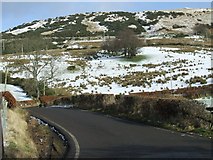 NS2272 : Shielhill Glen road by Thomas Nugent