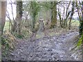 Imber Range Path  near Heytesbury