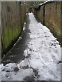 Mid section of alley between Portsmouth Road and Flower Walk
