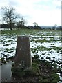 OS trig point, Cromer Hill