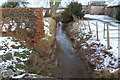 View of Coe Burn at Lochty Farm looking downstream