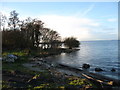 The south shoreline of Lough Neagh