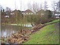 Pond near houses in Snodland