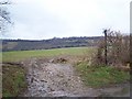 Footpath on Stangate Road