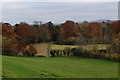 East Lambrook to South Petherton Footpath