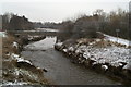 Sankey Brook, looking North from Cromwell Avenue