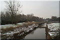 Sankey Brook, looking South from Cromwell Avenue