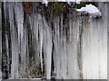 NY7540 : Closeup of icicles by Joan Sykes