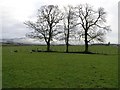 Gortnacreagh Townland