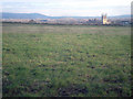 Grazing land near Tiddesley Wood