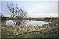 Small Pond near Little Tongues