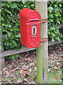 Edward VII letter box, Bullinghope