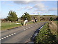 Riders on the lane between Fulking and Poynings