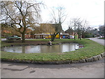 SU5646 : North Waltham: village green by Chris Downer