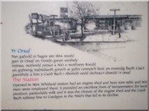 SN1916 : Information Board, Whitland - Detail by welshbabe