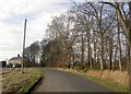 Green Lane, Skellow near Doncaster