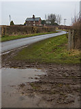TA1336 : Lane near Swine by Paul Harrop