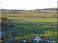 Farmland, Hadley Wood, Hertfordshire