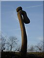 Woodcarving at Carsington Water  car park