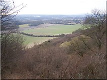 TQ6661 : View from footpath near White Horse Wood by David Anstiss