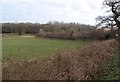 Hedge, field and Harbourne River valley