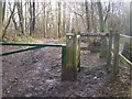 North Downs Way leaves Trosley Country Park