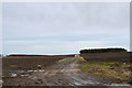 Road to Agricultural Land near Kirkbuddo