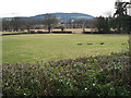 View to Aconbury Hill