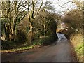 Footpath and lane, Holcombe Down