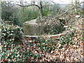 Gun Emplacement at Grayswood Common