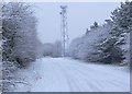 Watergate Lane in the snow