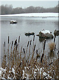SK6139 : Colwick Country Park in the snow by Alan Murray-Rust