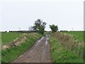 Country Lane - 1, near Low Ash Farm, Loxley Valley