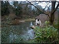 Cottage in old watercress beds Letcombe Regis