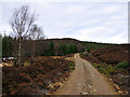 NN9143 : Forest track in Griffin Forest by Dr Richard Murray