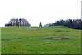 ST3815 : Countryside near Seavington St Michael by Nigel Mykura