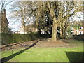 Long shadows in the churchyard at Holy Trinity, Winchester