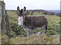 H0750 : Donkey, Kilgarrow by Kenneth  Allen