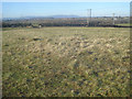 Farmland north of Eckington