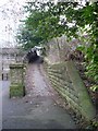 Pathway to Rutherglen Bridge