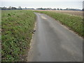 Thorpe Lane, looking west