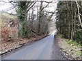NT5918 : Single track road to Bedrule by James Denham
