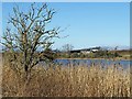 Garth from across the Loch