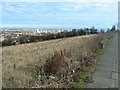 Pavement with a panorama