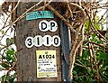 Telegraph pole, Dunmurry