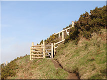 SN5986 : Gate on the Ceredigion Coastal Path by John Lucas