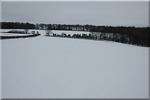 SP1027 : Cotswold snowscene by Philip Halling