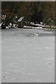 Frozen pond in Temple Guiting