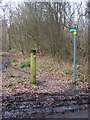 Footpath on Hospital Road, near Harpswood