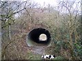 Subway under Railway